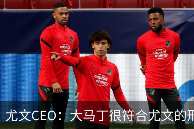 尤文CEO：大马丁很符合尤文的形象 弗拉霍维奇目前不在考虑范围内